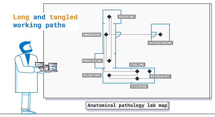 Anatomical Pathology lab map long and tangleted working paths