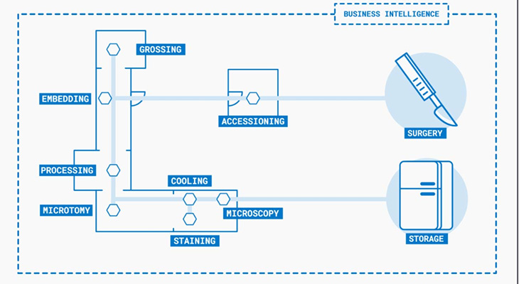 otal Process Automation map robortized stations that collect and transfer the specimens between the different steps in the workflow