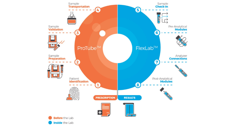 Total Testing Process